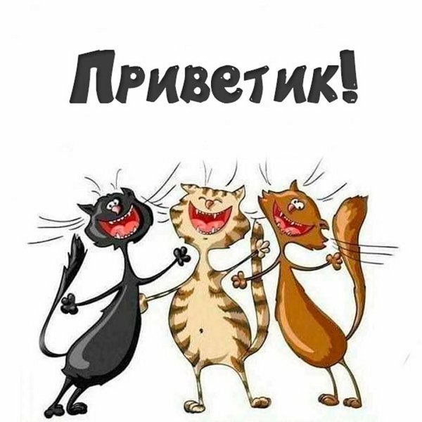 открытка веселая