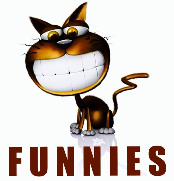 мультяшные коты