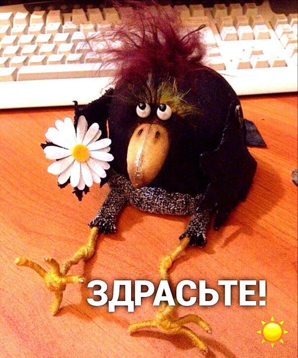 здрасте картинки