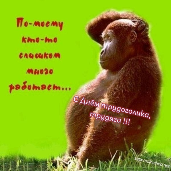 задумчивый шимпанзе