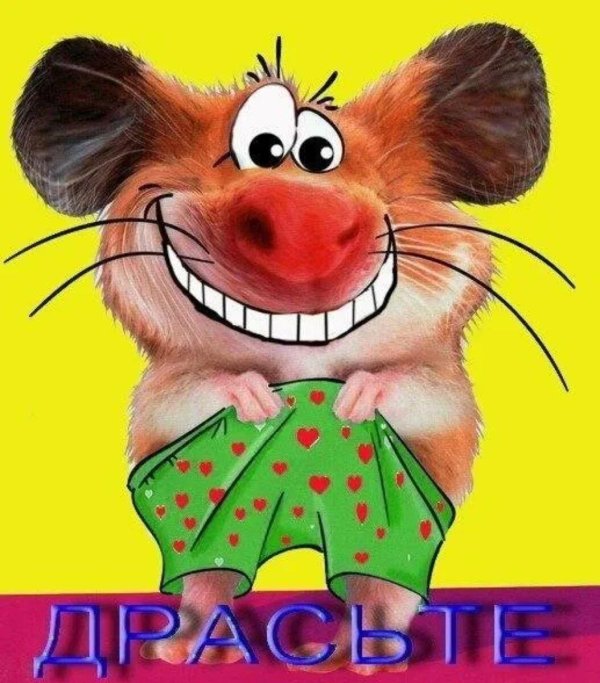 прикольное приветствие