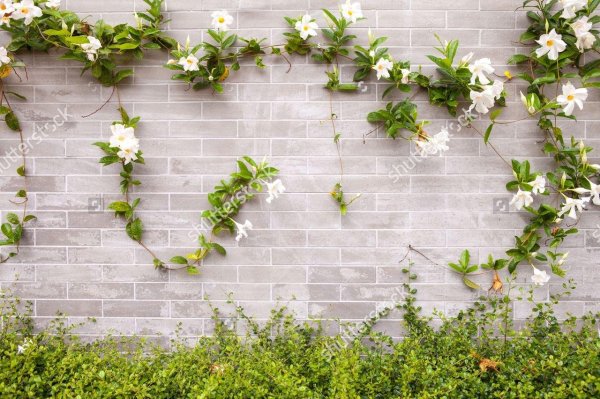 фотозабор пвх фотосетка