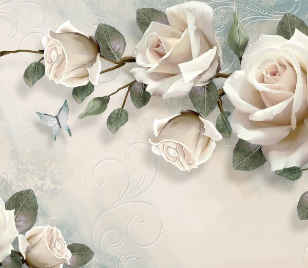 белые розы фон