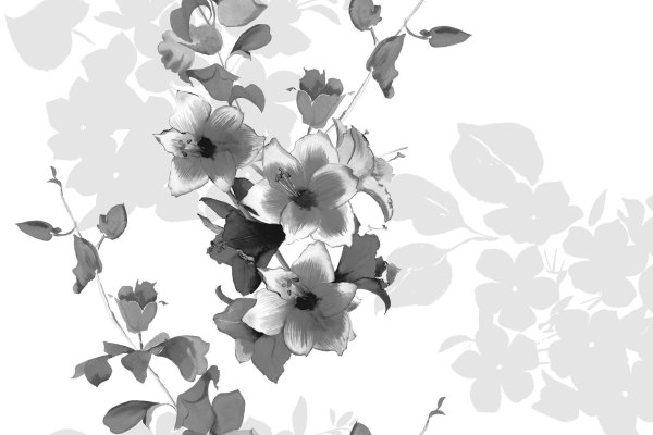 серый фон с цветами