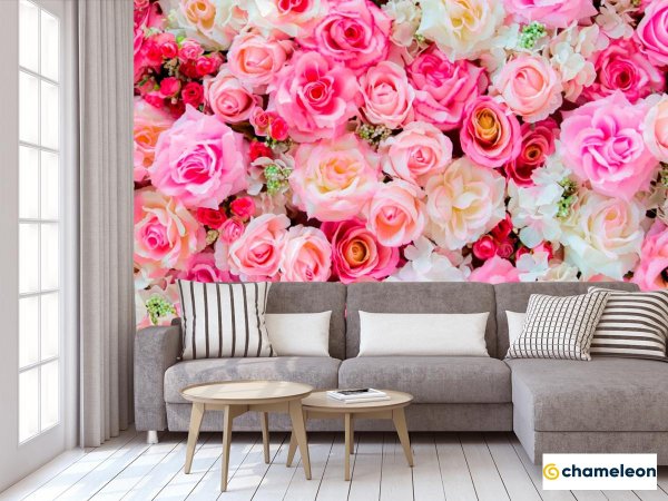 розовая роза