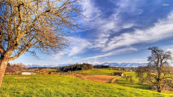 весенние пейзажи