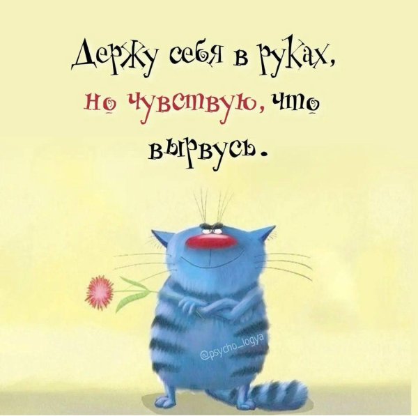 синие коты ирины зенюк