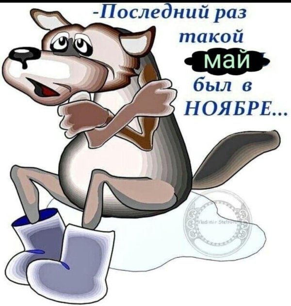 сказочный волк