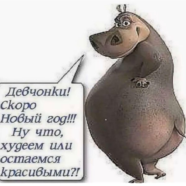 глория мадагаскар