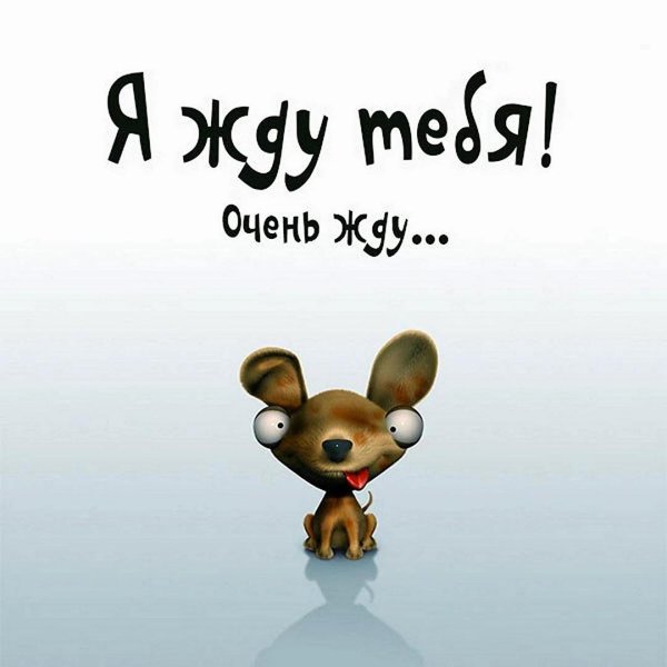 жду тебя