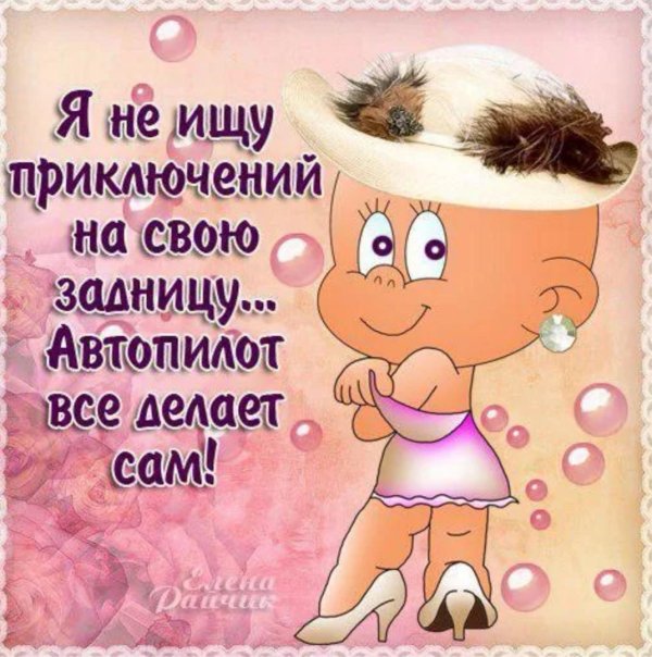 жопа ищет приключений