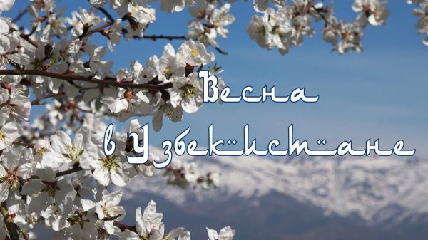 узбекистан весной