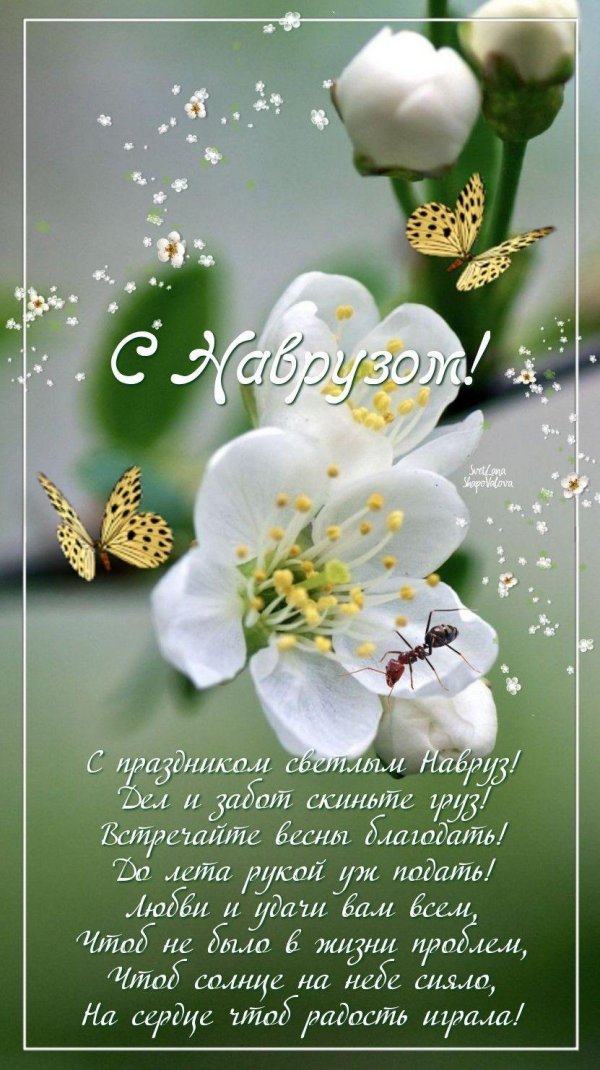 пусть окружает нежностью весна