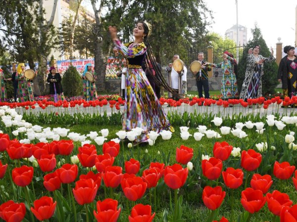 сайри гули лола