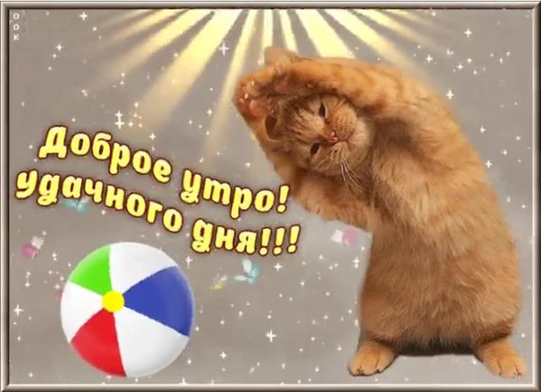 доброе утро хорошего дня веселые