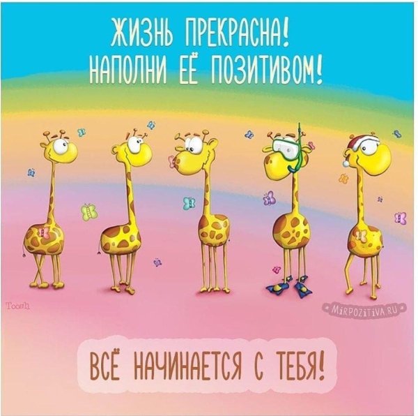 позитивная открытка