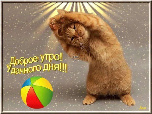 доброе утро зарядка
