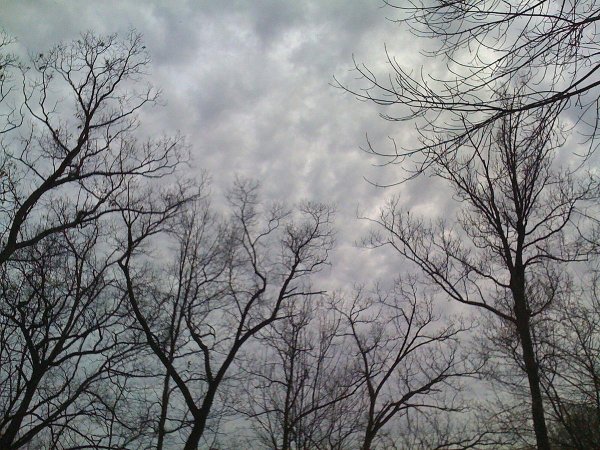 осеннее небо