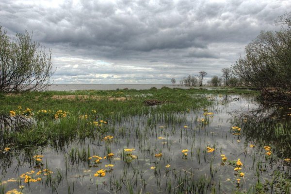 река казанка пойменные луга