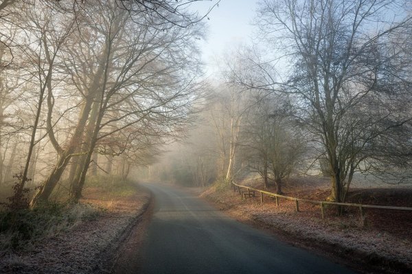 осенняя дорога