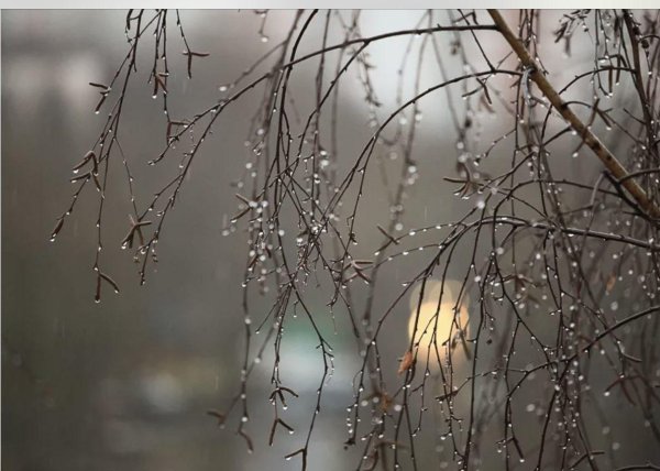 весенние дожди