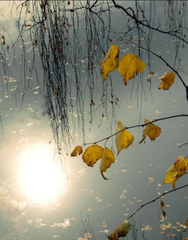 дождливая осень