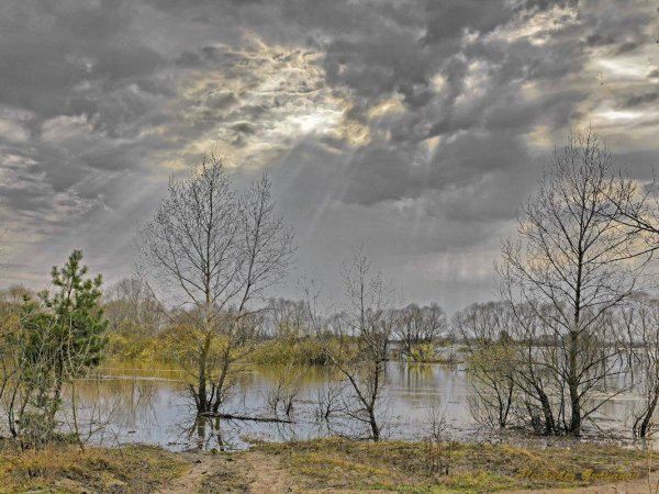 пасмурный апрель