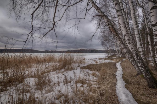 природа ранней весной