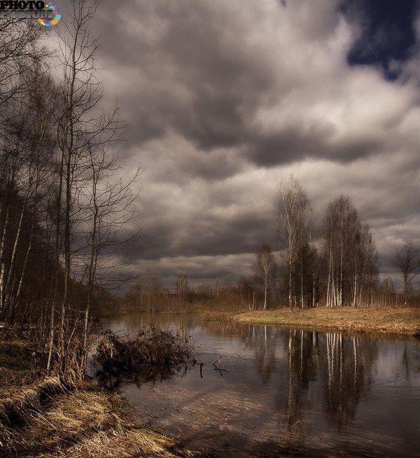 пасмурные дни