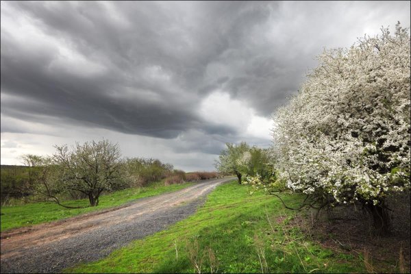 май природа