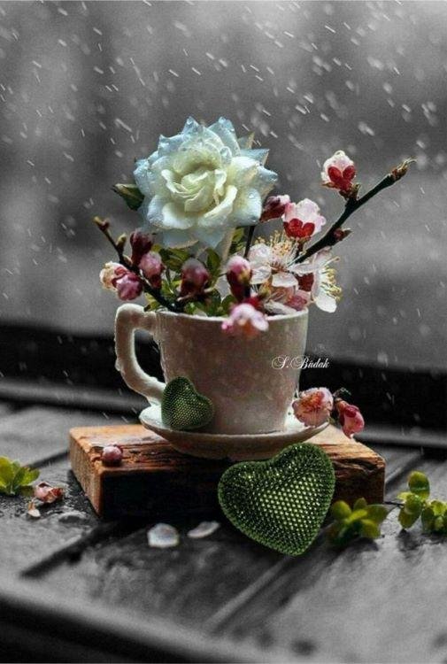 дождливого утра