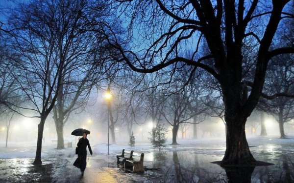 зима в парке