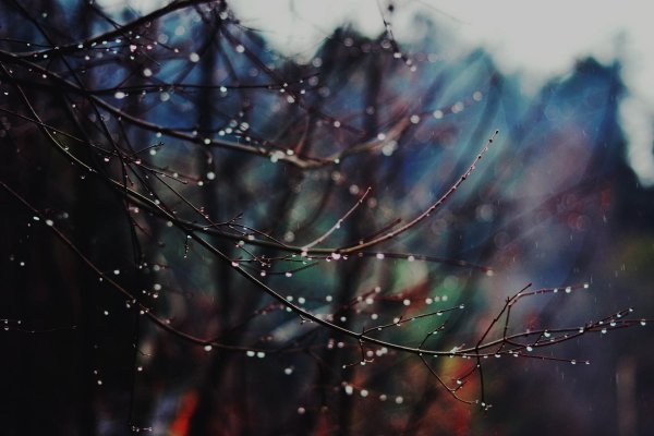 капли дождя