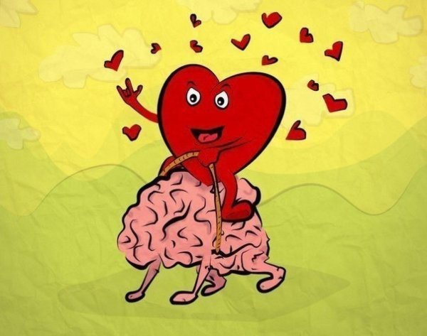 brain and heart