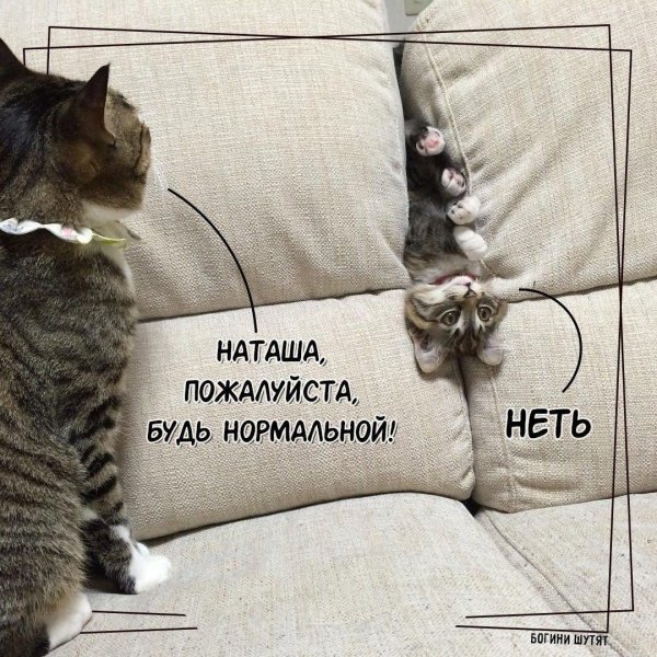 пожалуйста будь нормальной