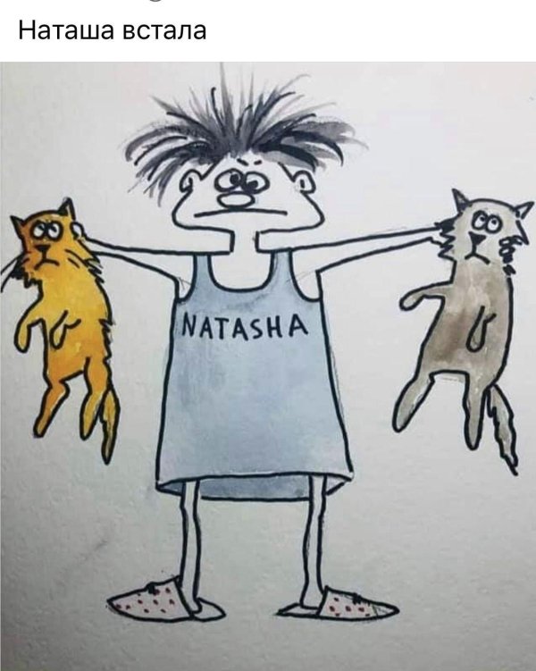 коты наташ
