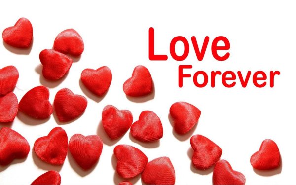 love forever