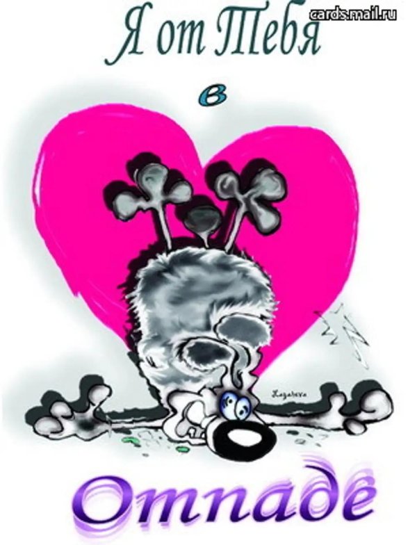 ты мой любимка