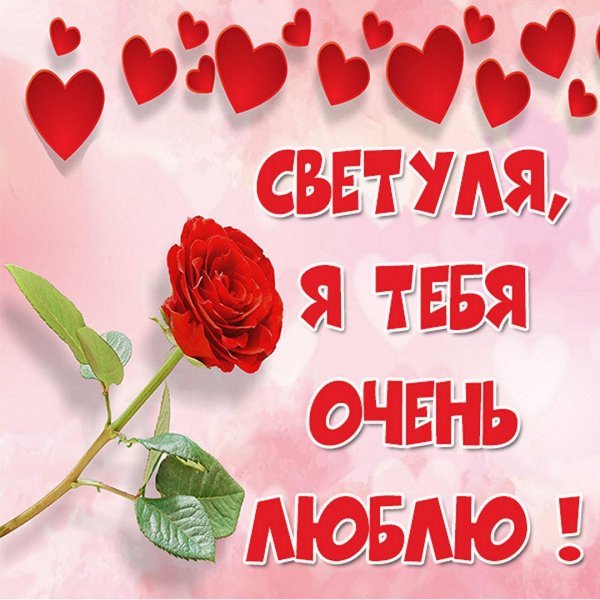 света я тебя люблю