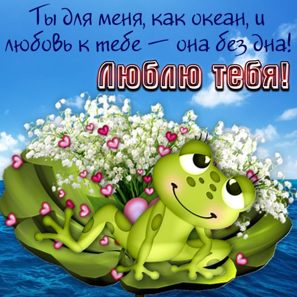 влюбленная лягушка