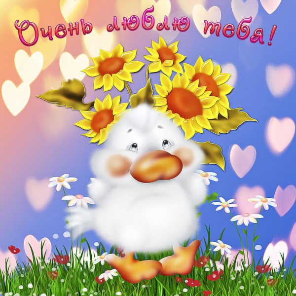 красивая открытка любимой