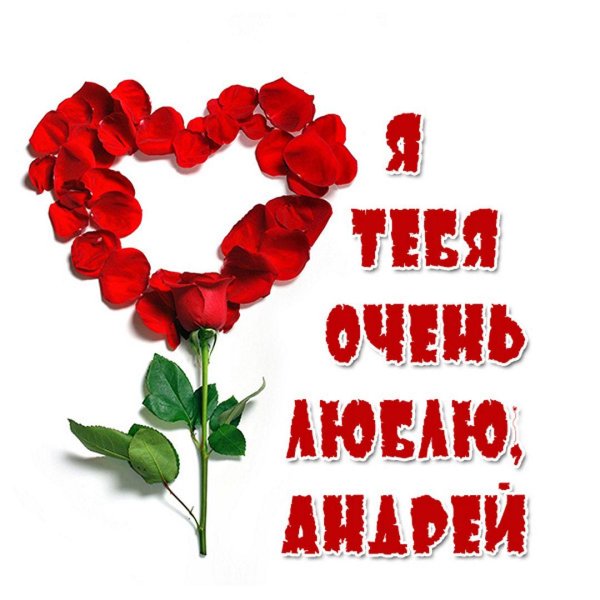 люблю андрея