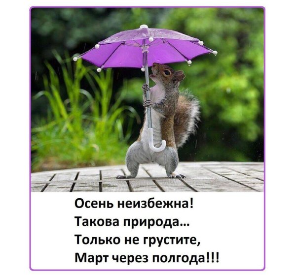 зонтик под дождем