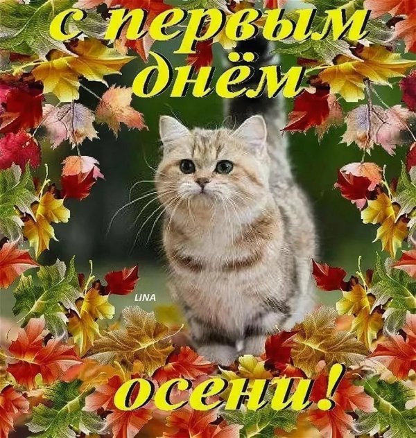 открытка начало осени