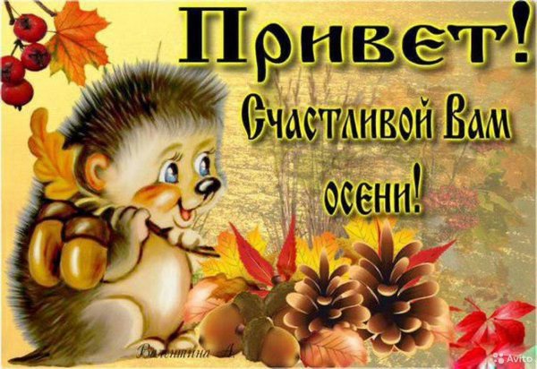 осенний приветик