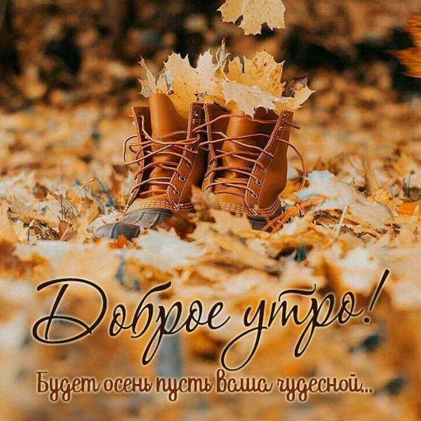 осеннее пожелание