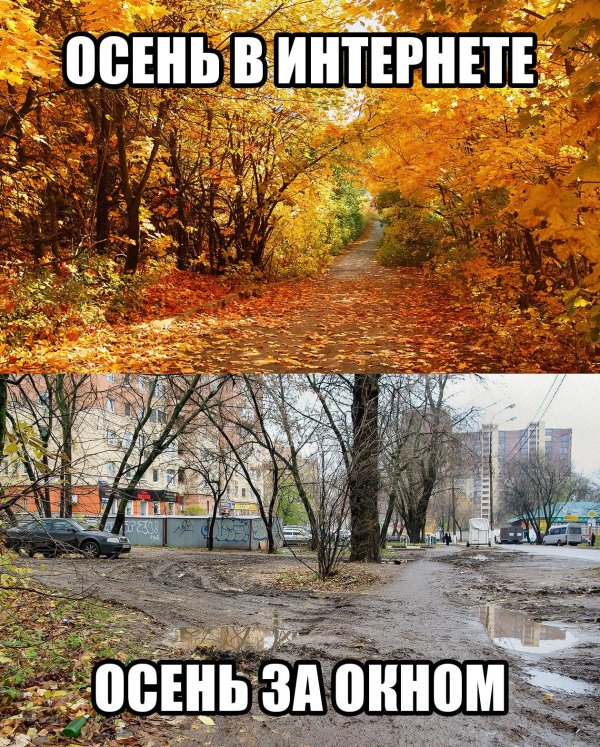 осень прикол