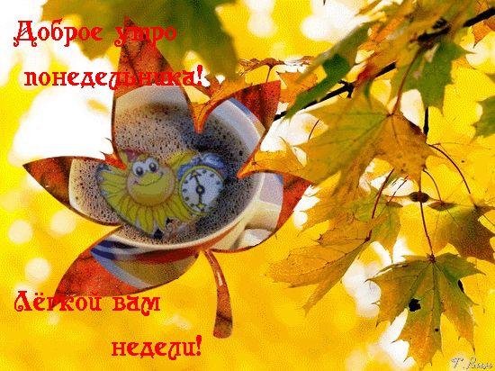 доброго осеннего утра понедельника