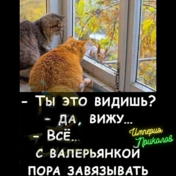 валерьянка прикол