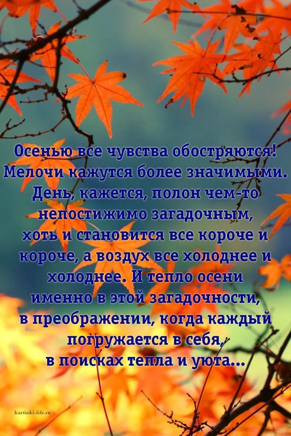 осеннее поздравление